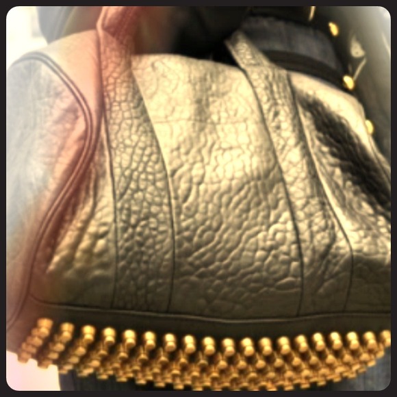 SOLD Alexander Wang Rocco bag with nickel hardware - Picture 1 of 4