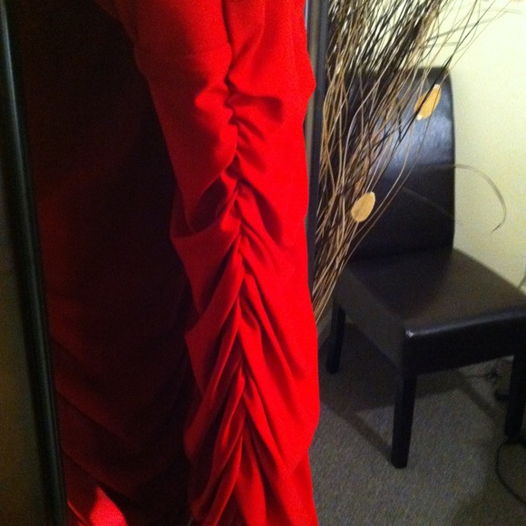 ⬇⬇REDUCED⬇⬇Roberto Little Red dress - Picture 3 of 3