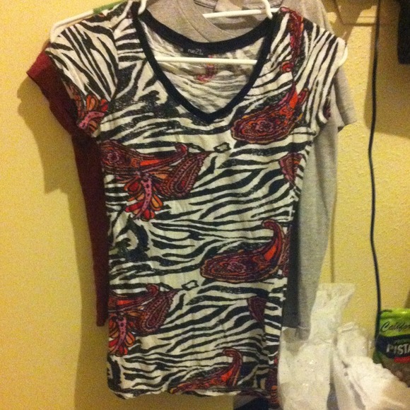 Zebra shirt