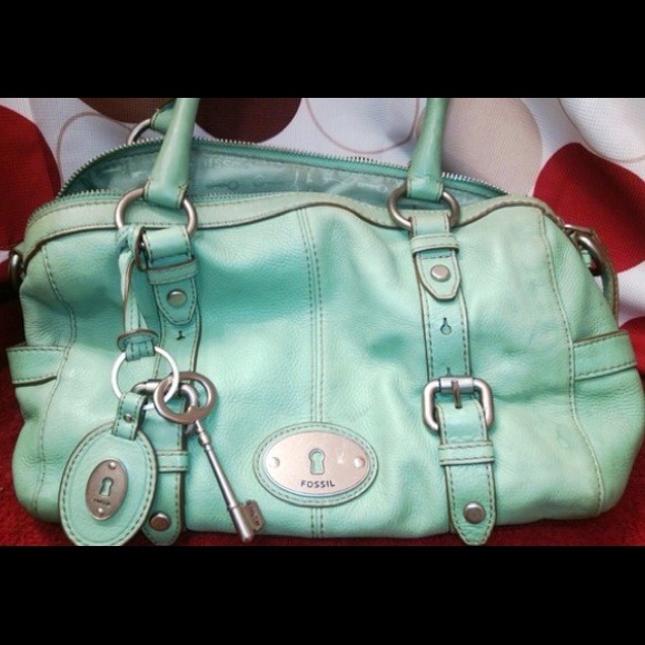 Mint fossil purse