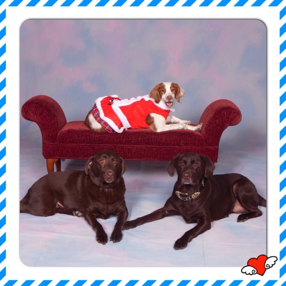 Meet Daisy Mae and her boyfriends Tyson and Jake!