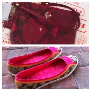 Coach Wristlet Snake print 4"x6.25"