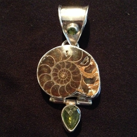 Reserved for Hamnah - Ammonite Nautilus Pendant