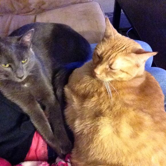 Meet the seller! - Picture 2 of 2