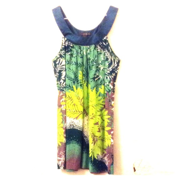 Dress/top