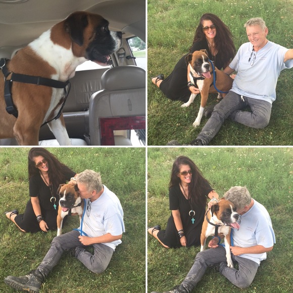 Why I posh.... - Picture 4 of 4