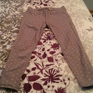 Polka Dot Puple Jeans