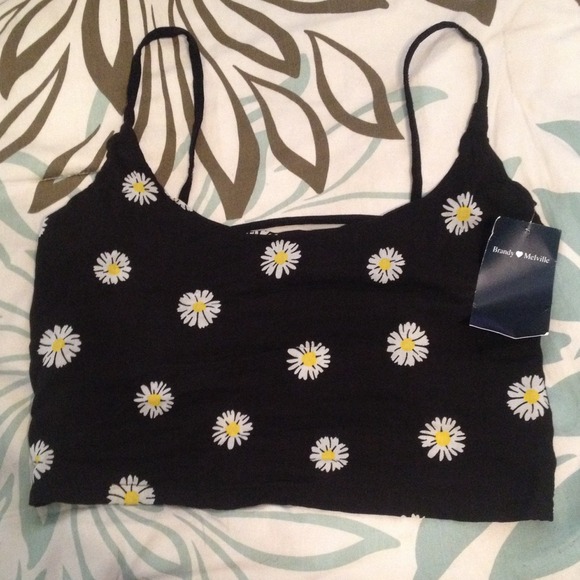 SOLD Brandy Daisy Chiyo PP ONLY