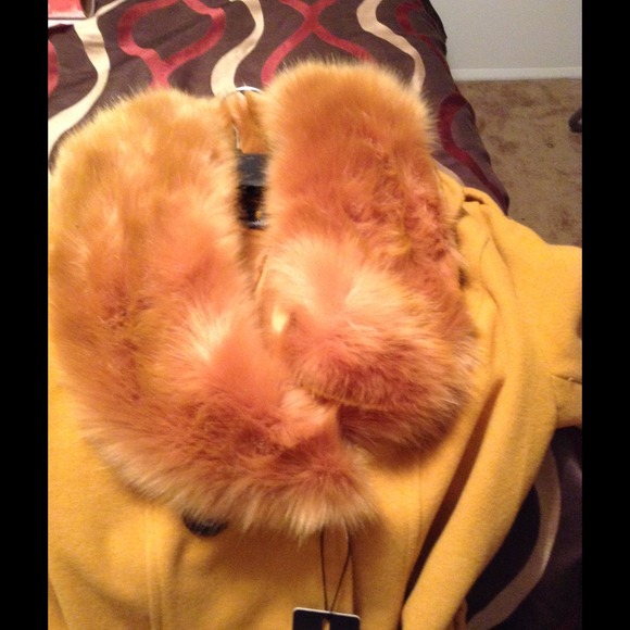 Coat