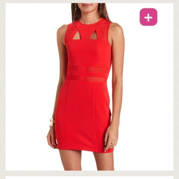 🚫sold in bundle.🚫 - Picture 4 of 4