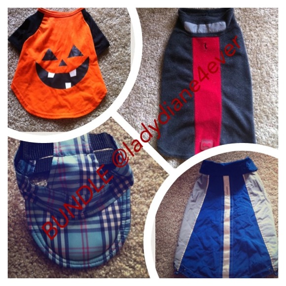 4 dog items, 1 flag, 2 scarves!