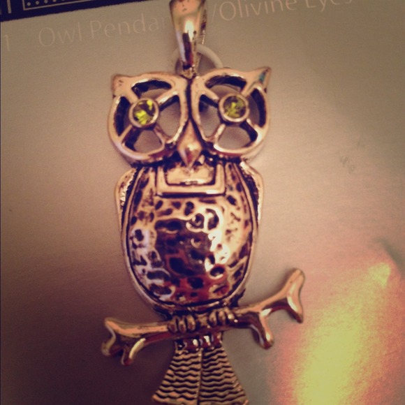 Owl pendant with necklace