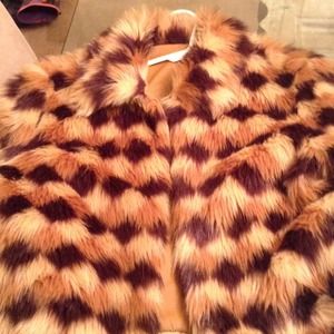 Multi Color Fur