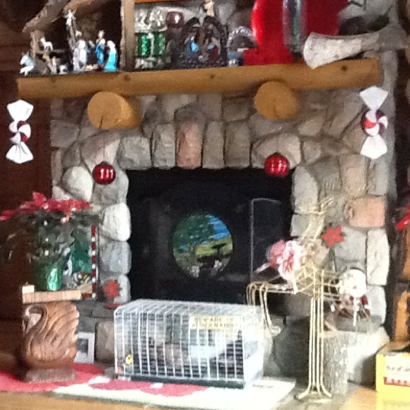 Christmas.. - Picture 3 of 4