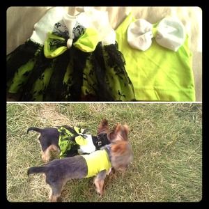 Doggie clothes