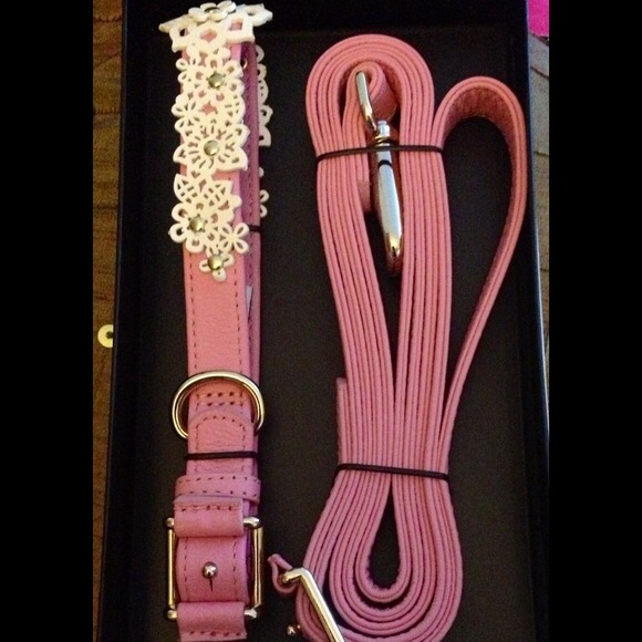 Pink Leather Oscar De La Renta Dog Leash