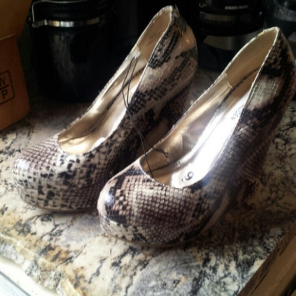 Snake skin Steve Madden heels