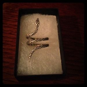 Silver Serpent Ring