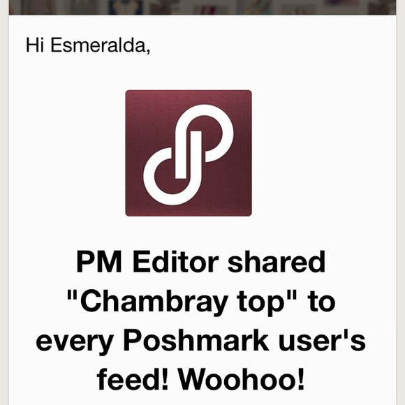 🎉Editors Pick 🎉Chambray top - Picture 4 of 4