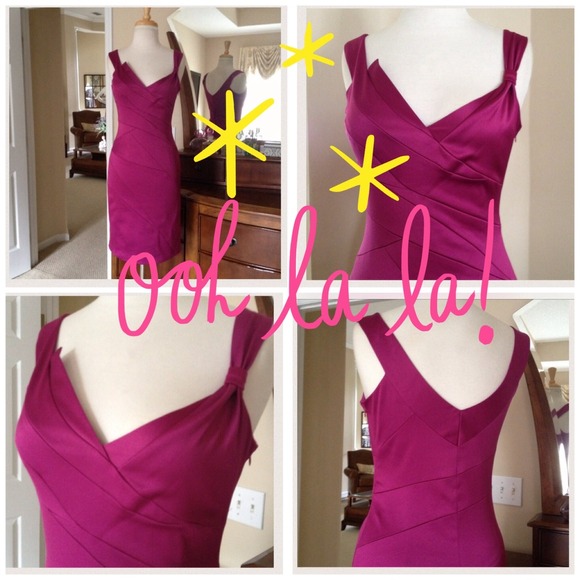 Max & Cleo Dresses & Skirts - Max and Cleo Bodycon Magenta Dress