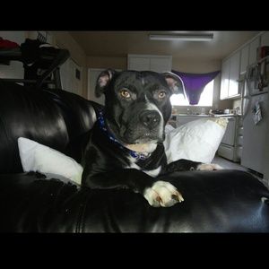 My baby boy (not 4 sale)