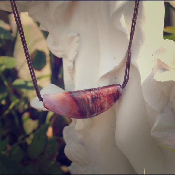 Bullhorn Picture Agate Pendant Cotton Necklace