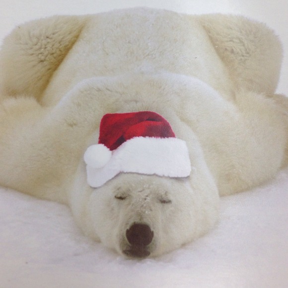 Time for a well deserved rest!