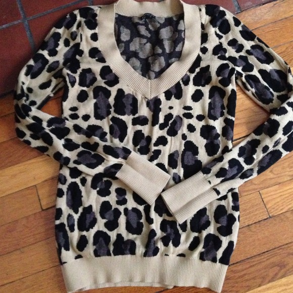 Express leopard sweater