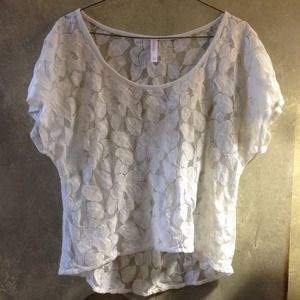 See through leaf top.