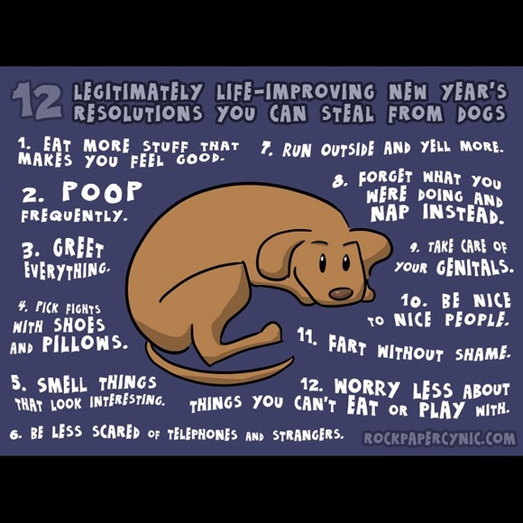 Happy New Year!! - Picture 1 of 3