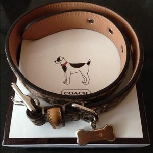 HOLD - Coach Dog Collar (17"-21")