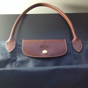 Large Gray Longchamp Le Pliage Tote