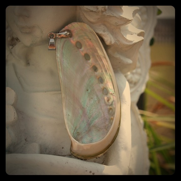 Abalone Shell Pendant on Platinum Plated Bail - Picture 1 of 3