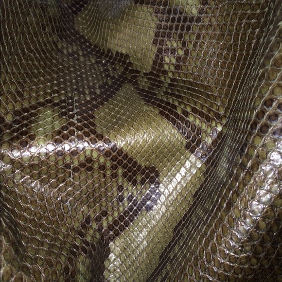 Gucci Python SOLD - Picture 3 of 4