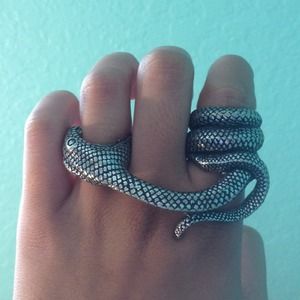 Adder Bite Alchemy Snake Ring
