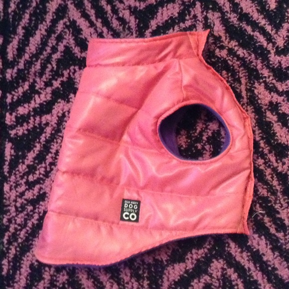Pink dog vest.