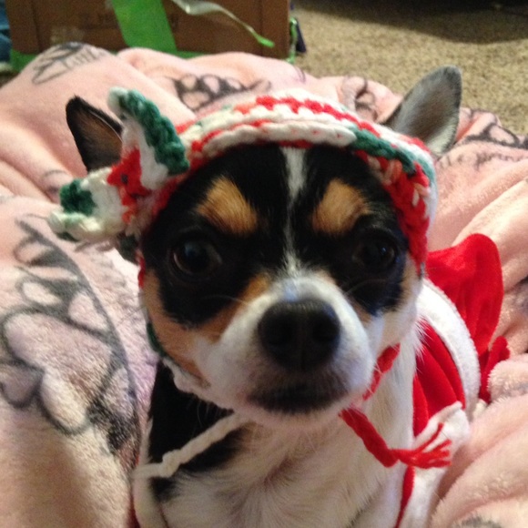 I'm gonna be 4 in March!!! - Picture 2 of 2