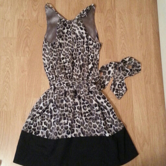 Bundled HP 1/18/2014 Express dress - Picture 4 of 4