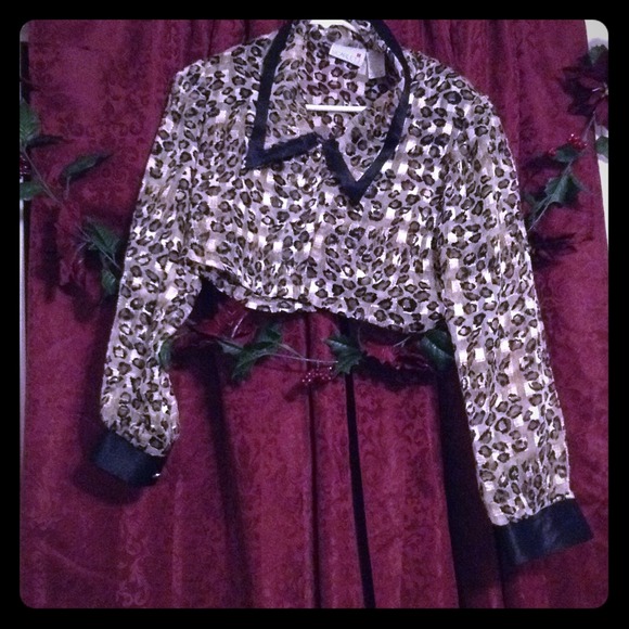 Vintage Long Sleeve Crop Top