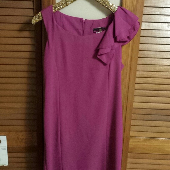 NEVER WORN berry dress