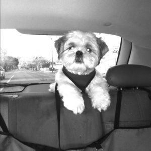 Sharing my coco baby