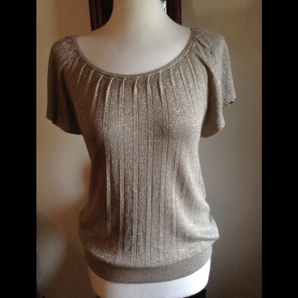 NWT GORGEOUS shimmery top by The Limited - Picture 1 of 3