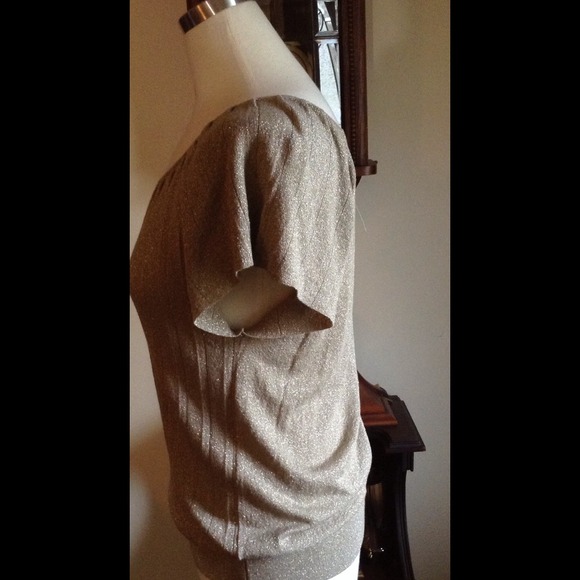 NWT GORGEOUS shimmery top by The Limited - Picture 2 of 3