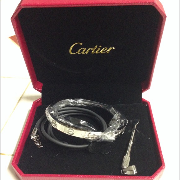 Cartier love bangle [silver]