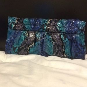Express snake skin like clutch