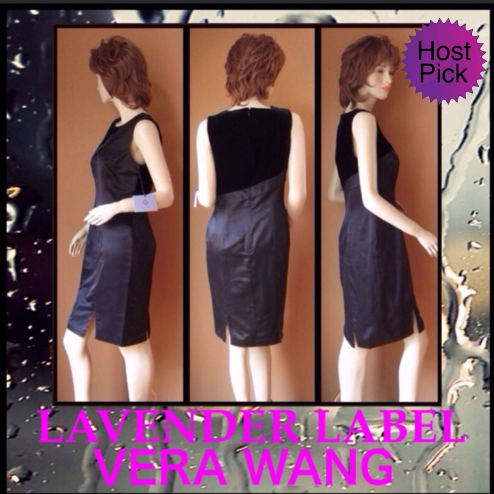 Vera Wang Lavender Label Satin & Velvet Dress NWT