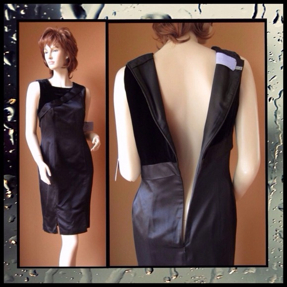 Vera Wang Lavender Label Satin & Velvet Dress NWT - Picture 2 of 3