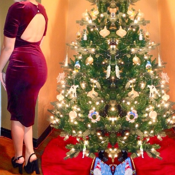 H&M Burgundy Velvet Dress