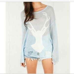 Light blue wild fox sweater