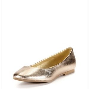 Seychelles - Gala Flat